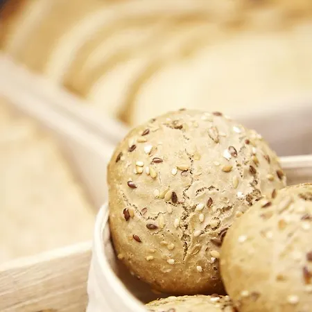 Arrizul Congress Отель 4*