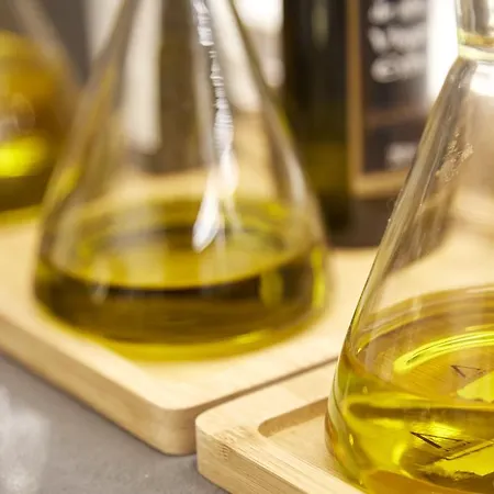 Hotel Arrizul Congress