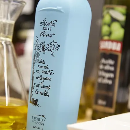 Arrizul Congress Hotel 4*