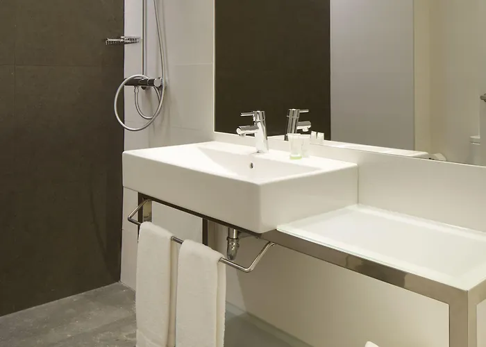 Arrizul Congress سان سيباستيان