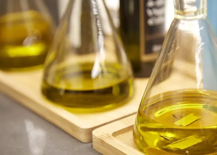 فندق Arrizul Congress